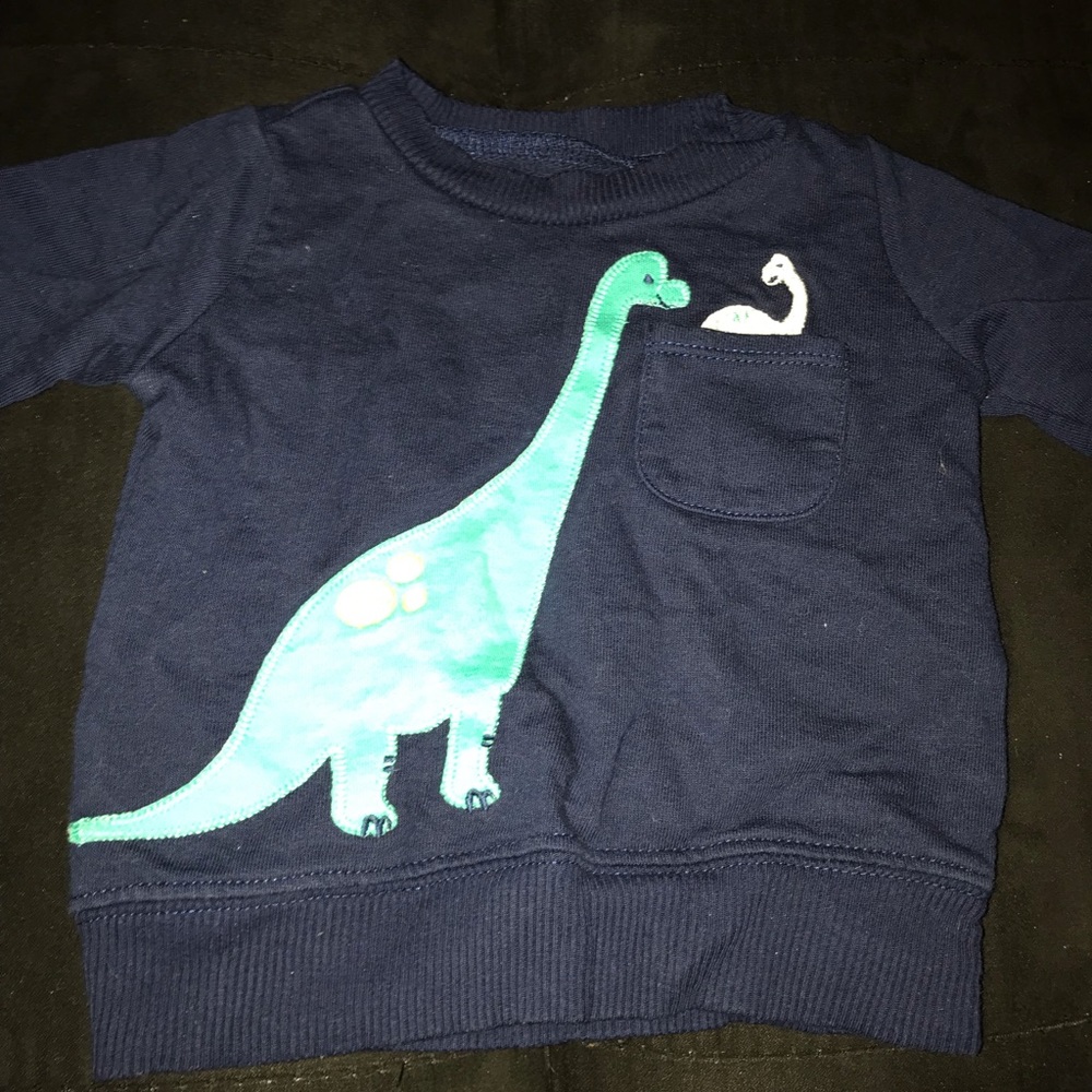 Baby dinosaur sweater